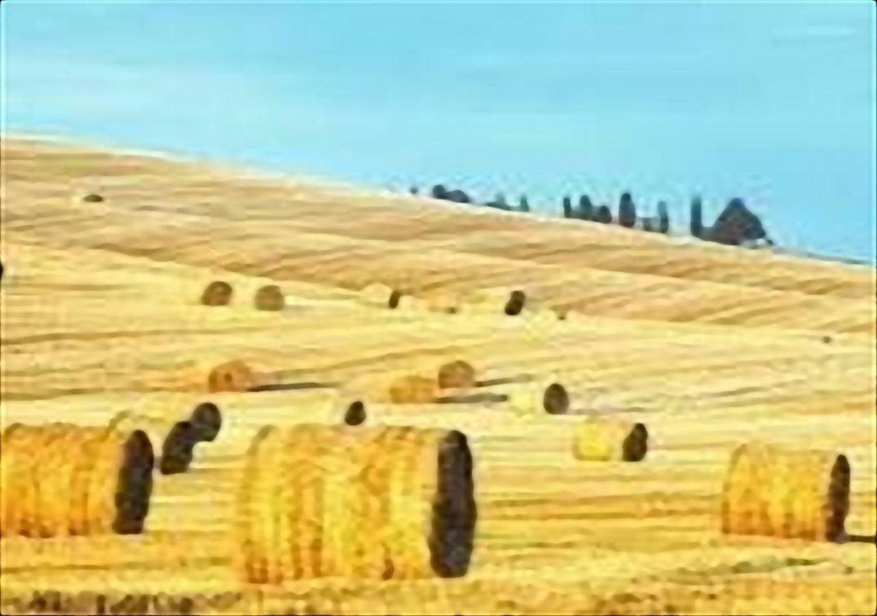 La Casa Di Nena Lägenhet Vivo dʼOrcia Exteriör bild